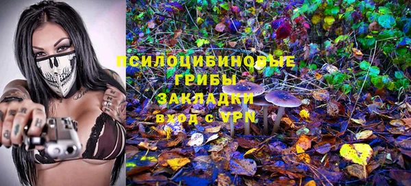 ПСИЛОЦИБИНОВЫЕ ГРИБЫ Верхнеуральск
