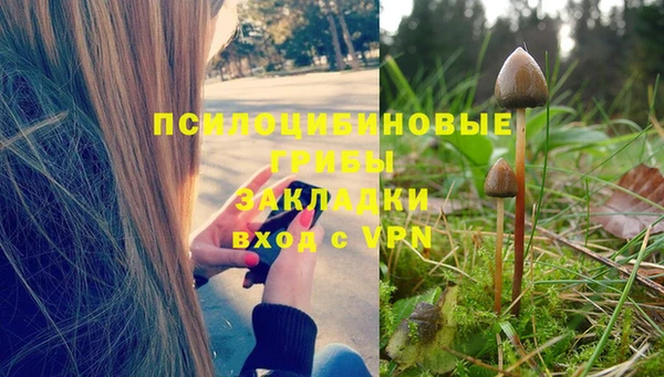 jwh Верея